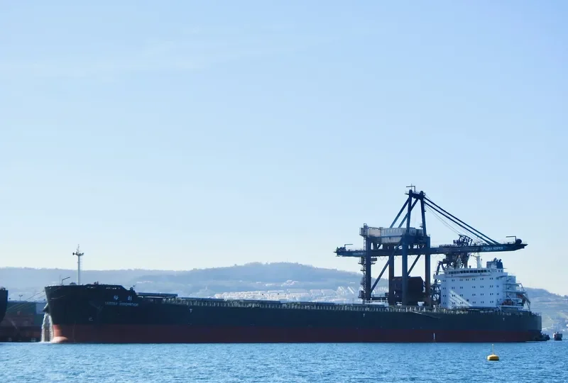 CEMTEX INNOVATION Bulk Carrier IMO 9593048 photo 10