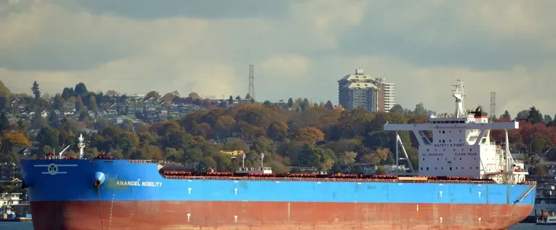 MARAN NOBILITY Bulk Carrier IMO 9593220 photo 5