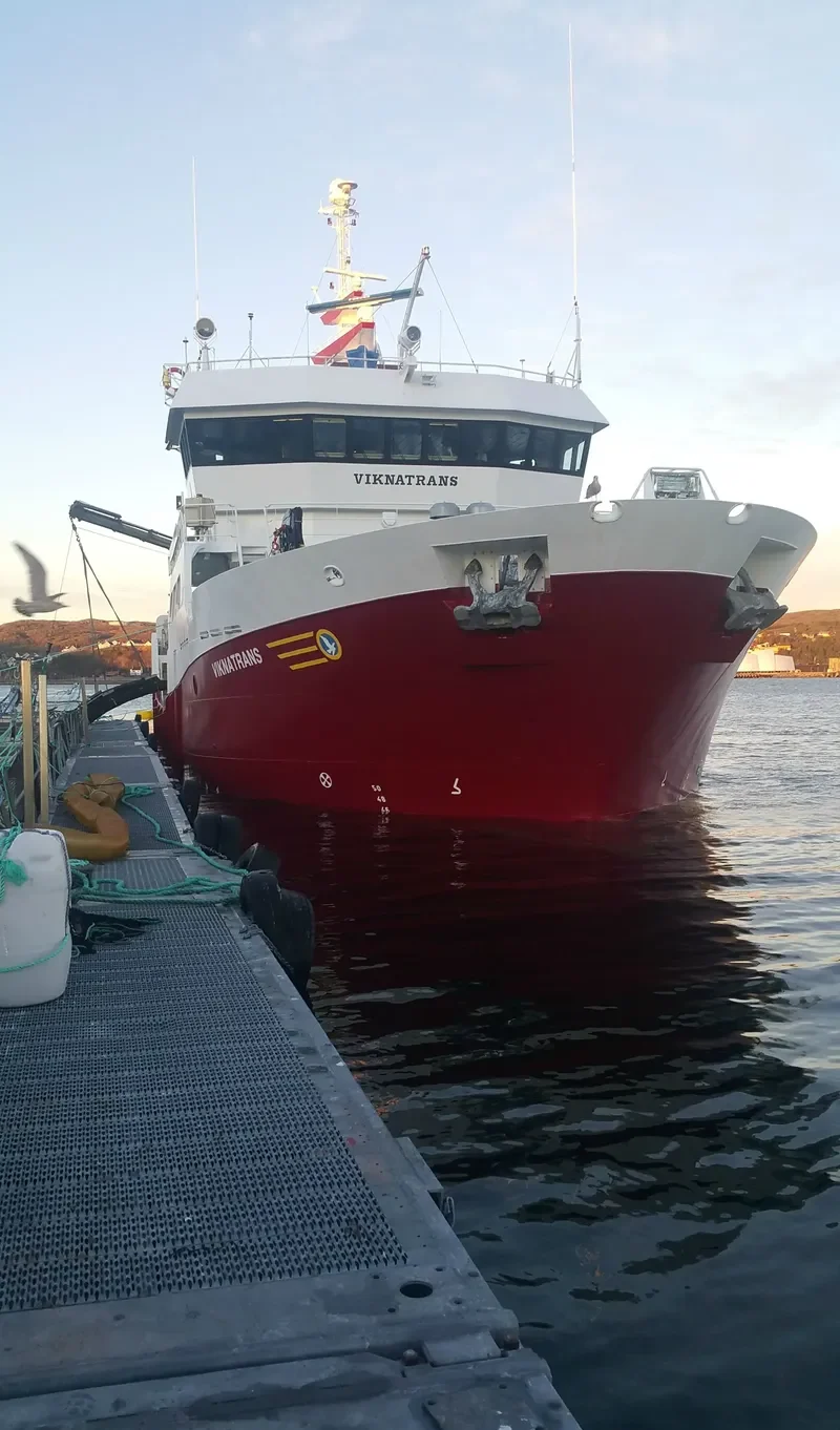 VIKNATRANS General Cargo IMO 9593268 photo 4