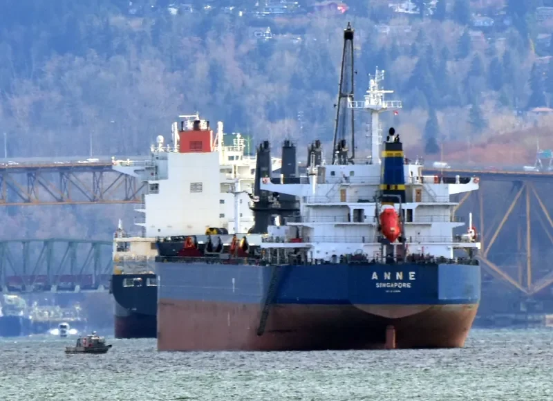 ANNE Bulk Carrier IMO 9593294