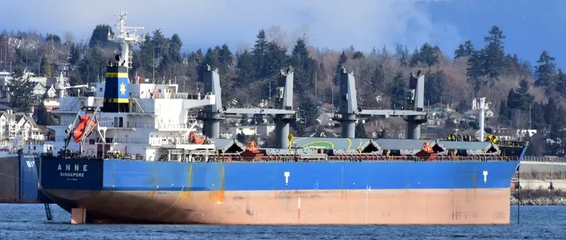 ANNE Bulk Carrier IMO 9593294 photo 2