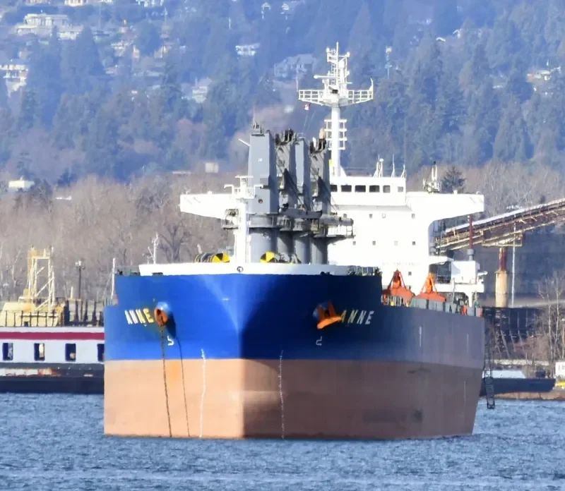 ANNE Bulk Carrier IMO 9593294 photo 4