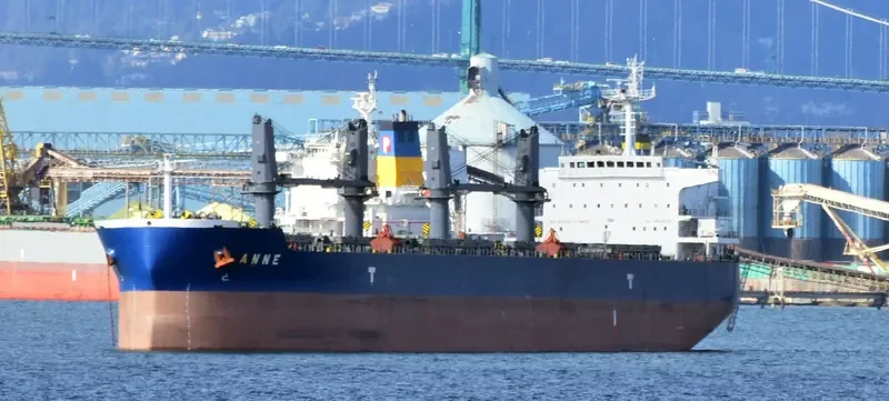ANNE Bulk Carrier IMO 9593294 photo 5
