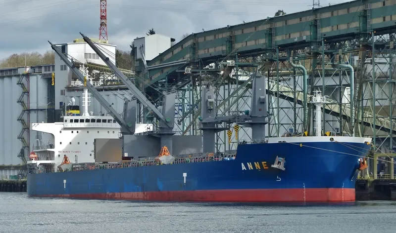ANNE Bulk Carrier IMO 9593294 photo 7