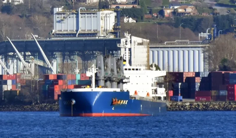 ANNE Bulk Carrier IMO 9593294 photo 8