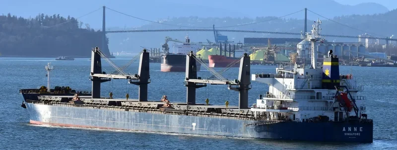 ANNE Bulk Carrier IMO 9593294 photo 9