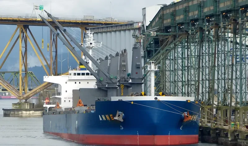 ANNE Bulk Carrier IMO 9593294 photo 10