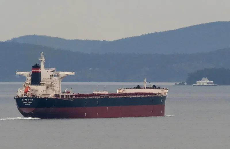 CAPE ASIA Bulk Carrier IMO 9593309