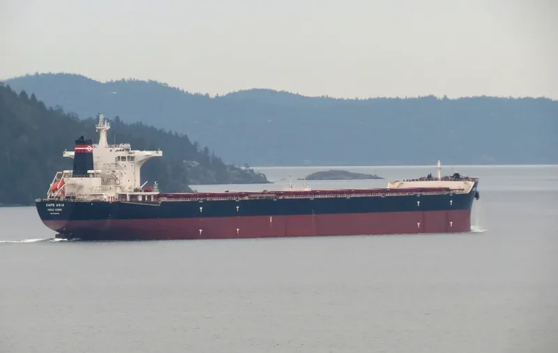 CAPE ASIA Bulk Carrier IMO 9593309 photo 2