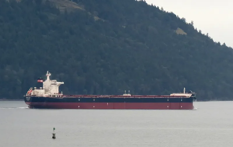 CAPE ASIA Bulk Carrier IMO 9593309 photo 3