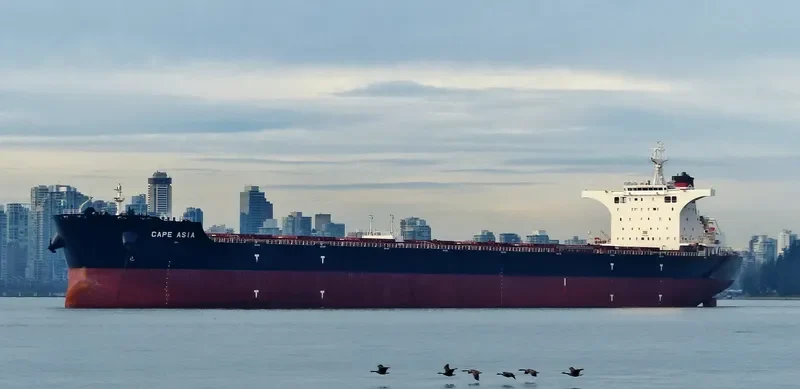 CAPE ASIA Bulk Carrier IMO 9593309 photo 6