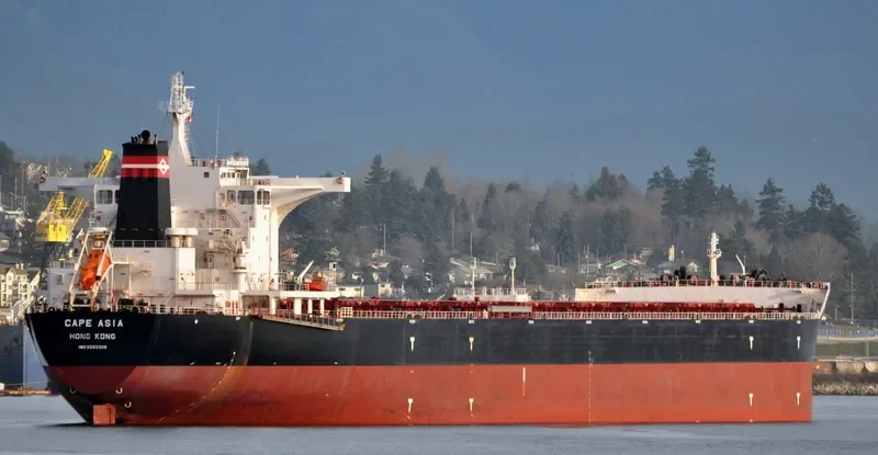 CAPE ASIA Bulk Carrier IMO 9593309 photo 8