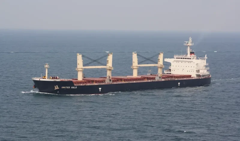 UNITED HALO Bulk Carrier IMO 9593335