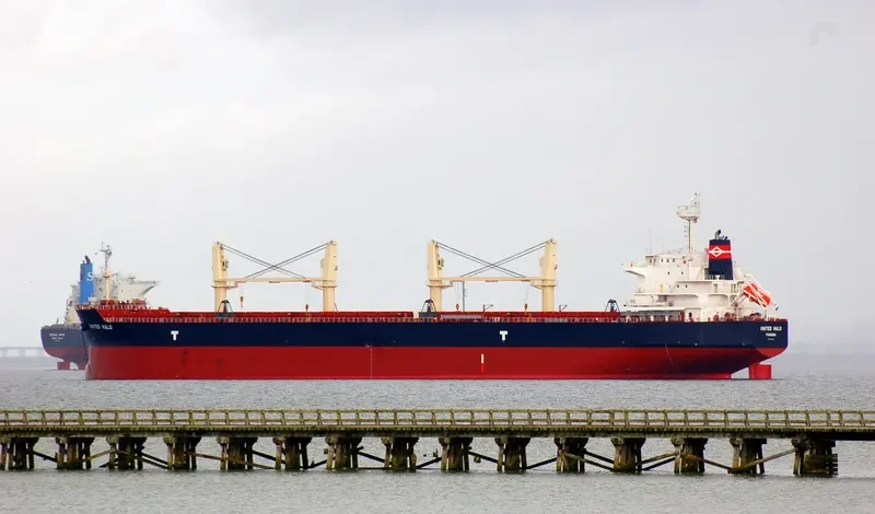 UNITED HALO Bulk Carrier IMO 9593335 photo 2