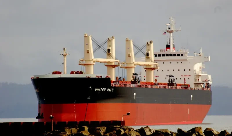 UNITED HALO Bulk Carrier IMO 9593335 photo 3