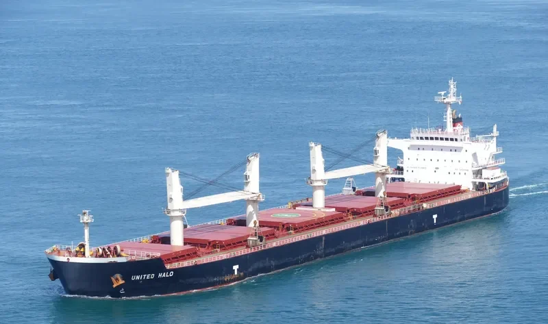 UNITED HALO Bulk Carrier IMO 9593335 photo 5