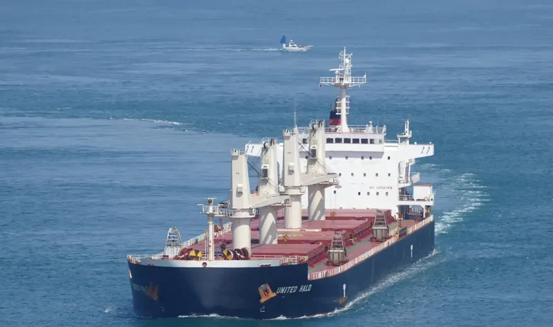 UNITED HALO Bulk Carrier IMO 9593335 photo 6