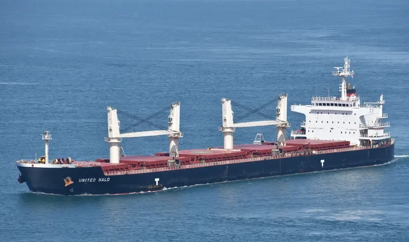 UNITED HALO Bulk Carrier IMO 9593335 photo 7