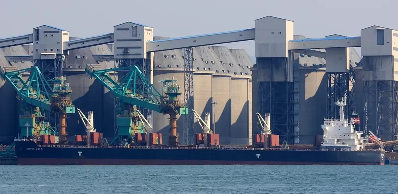 UNITED HALO Bulk Carrier IMO 9593335 photo 8