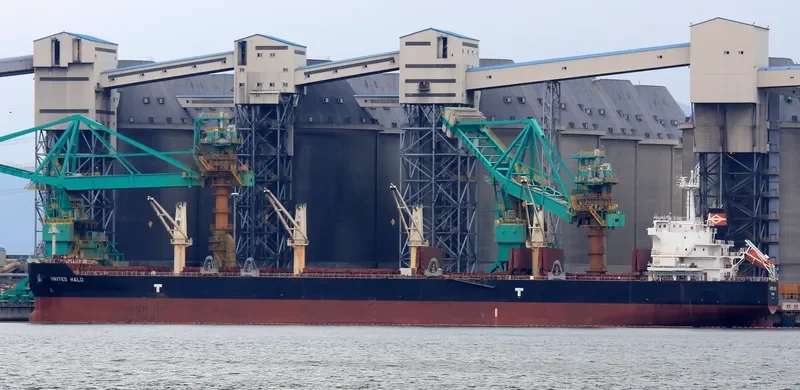 UNITED HALO Bulk Carrier IMO 9593335 photo 9