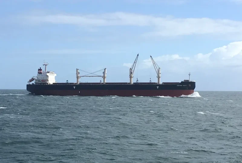 UNITED HALO Bulk Carrier IMO 9593335 photo 10