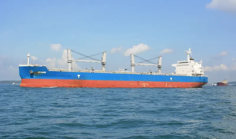 ARAMIS Bulk Carrier IMO 9593359