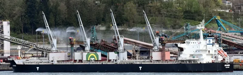 ARAMIS Bulk Carrier IMO 9593359 photo 2