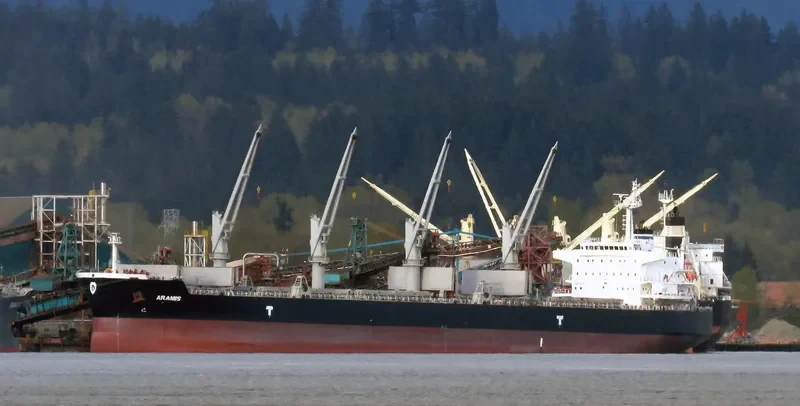 ARAMIS Bulk Carrier IMO 9593359 photo 4