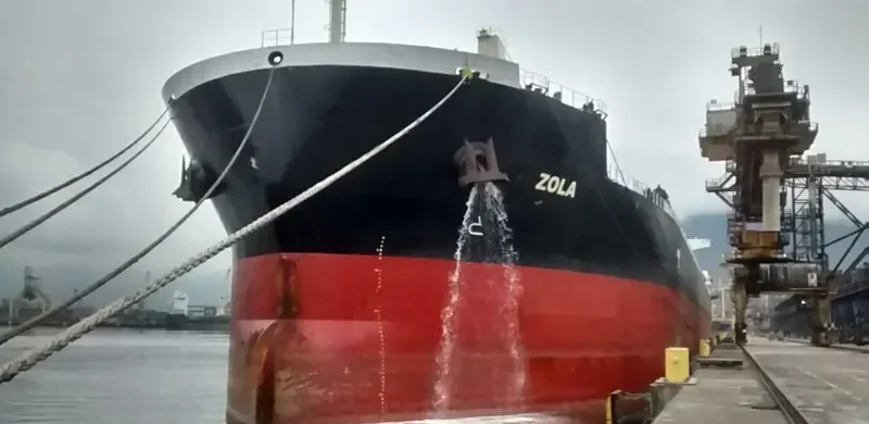 OSIOS DAVID Bulk Carrier IMO 9593361