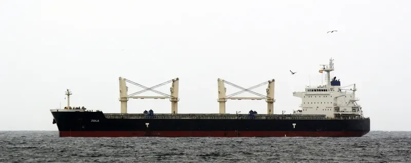 OSIOS DAVID Bulk Carrier IMO 9593361 photo 2