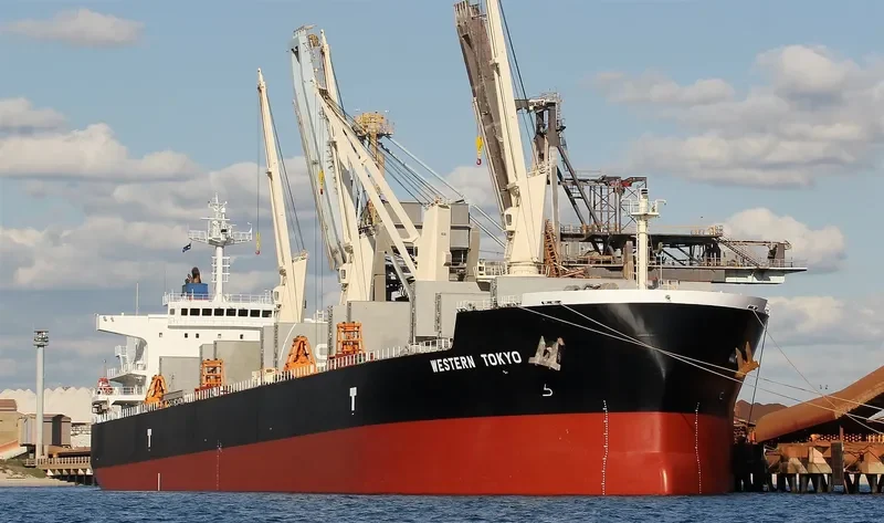 OSIOS DAVID Bulk Carrier IMO 9593361 photo 3