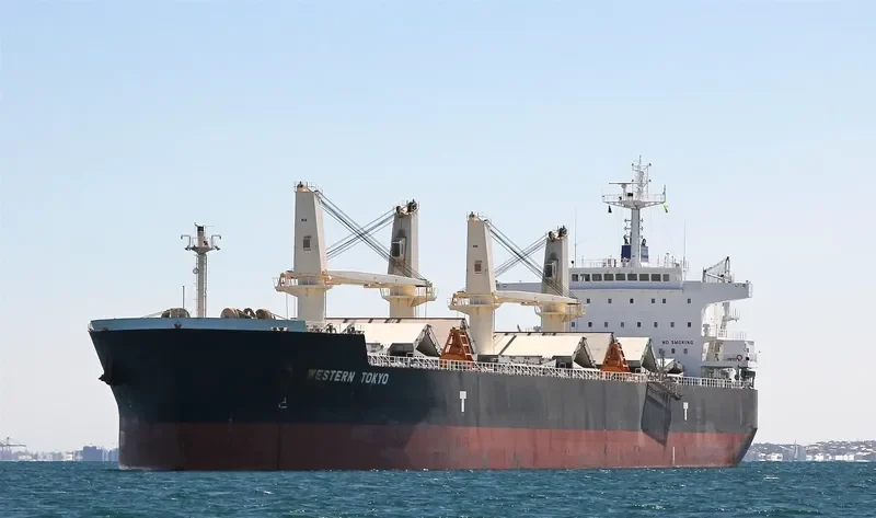 OSIOS DAVID Bulk Carrier IMO 9593361 photo 5