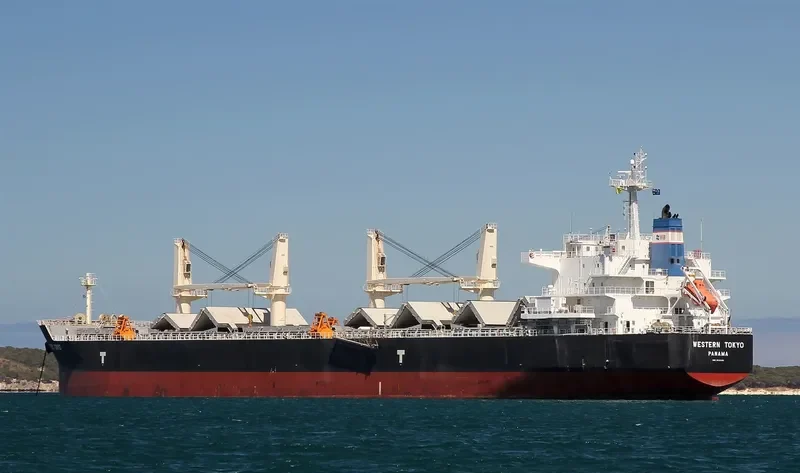 OSIOS DAVID Bulk Carrier IMO 9593361 photo 6