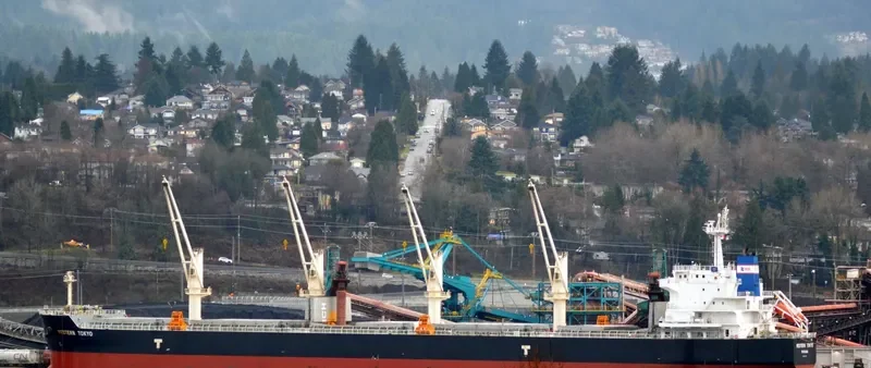 OSIOS DAVID Bulk Carrier IMO 9593361 photo 9