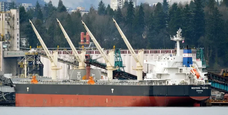 OSIOS DAVID Bulk Carrier IMO 9593361 photo 10