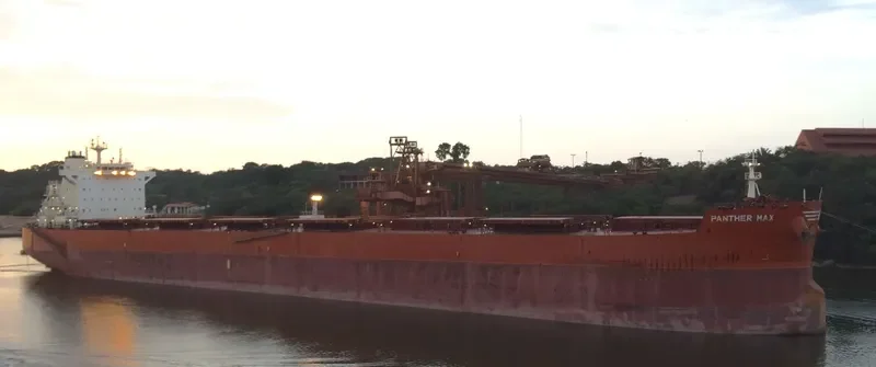 PANTHER MAX Bulk Carrier IMO 9593402