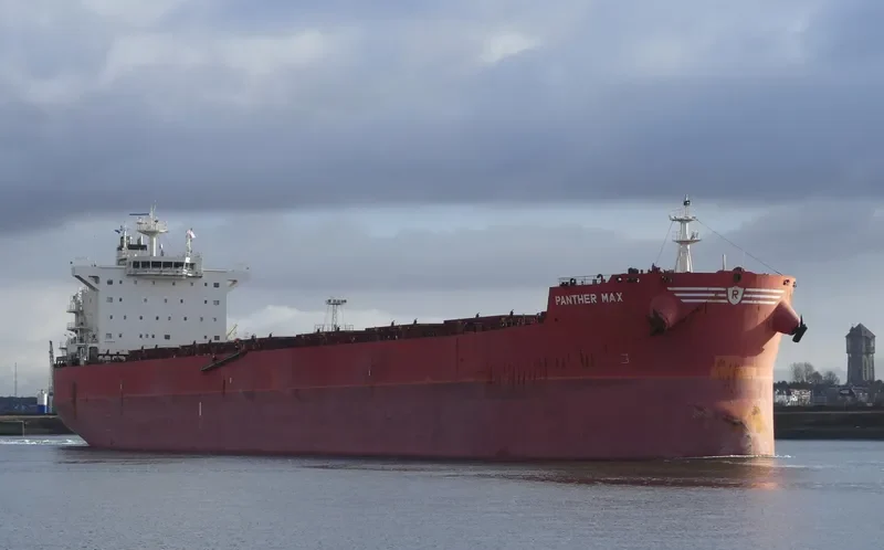 PANTHER MAX Bulk Carrier IMO 9593402 photo 5