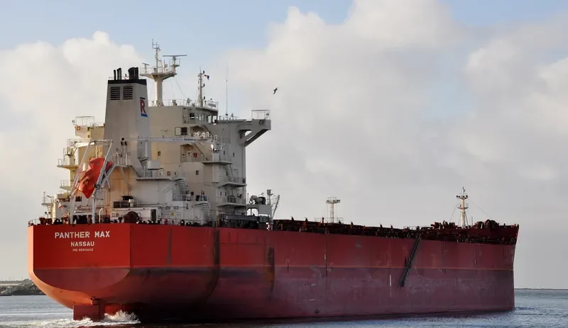 PANTHER MAX Bulk Carrier IMO 9593402 photo 7