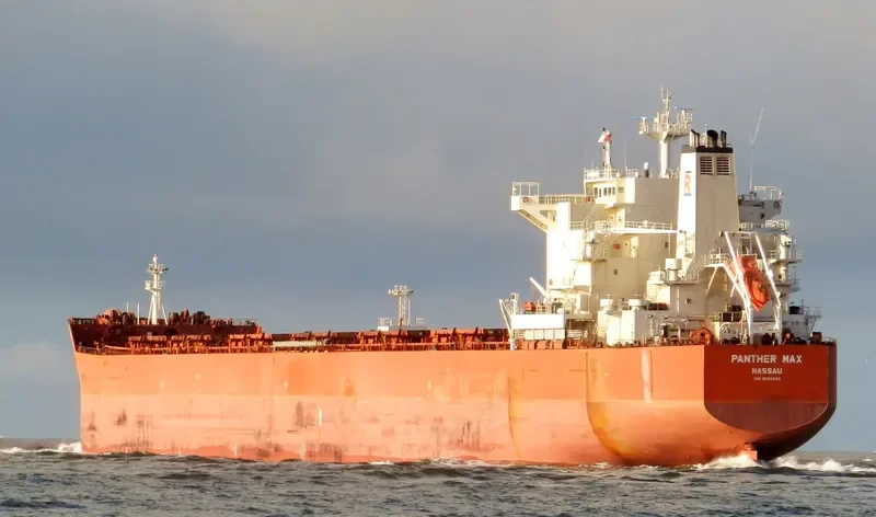 PANTHER MAX Bulk Carrier IMO 9593402 photo 10