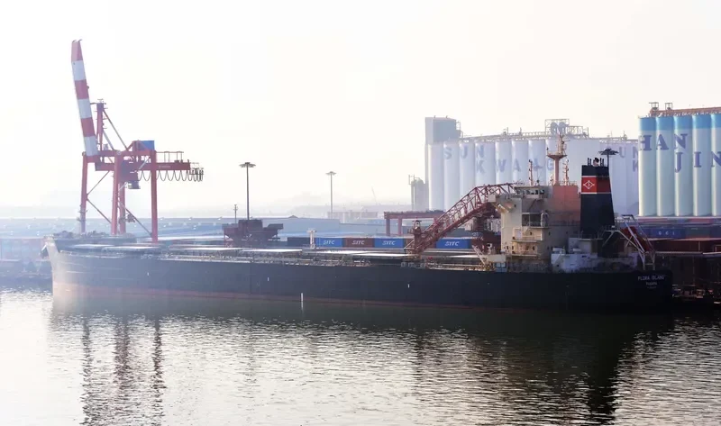 ALPHA WISDOM Bulk Carrier IMO 9593440 photo 2