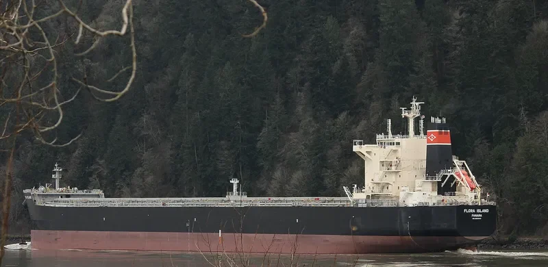 ALPHA WISDOM Bulk Carrier IMO 9593440 photo 3