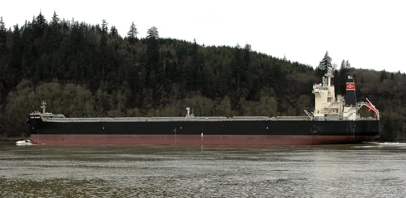 ALPHA WISDOM Bulk Carrier IMO 9593440 photo 4