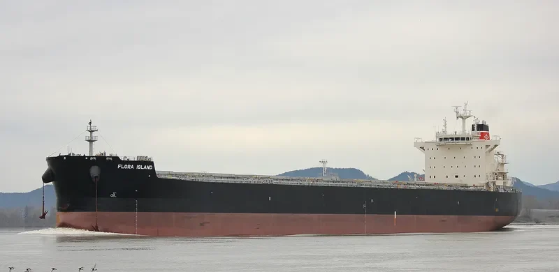 ALPHA WISDOM Bulk Carrier IMO 9593440 photo 5