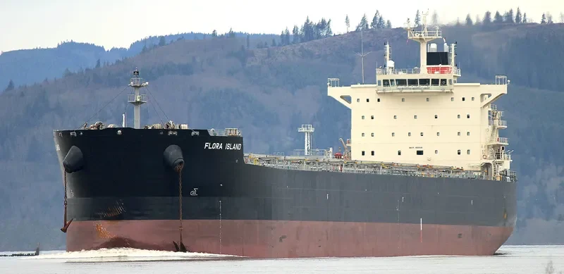 ALPHA WISDOM Bulk Carrier IMO 9593440 photo 6