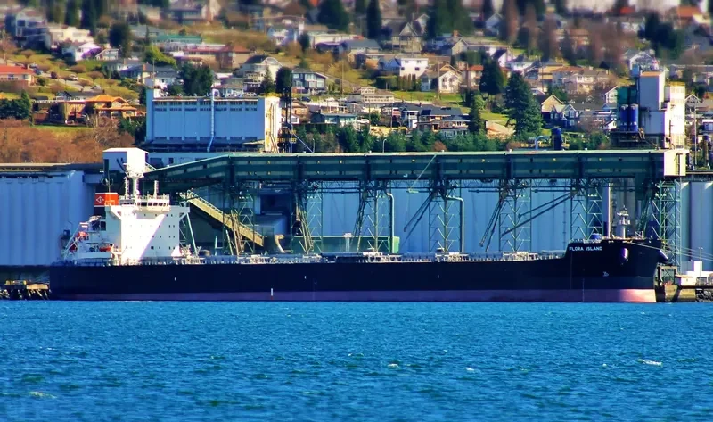 ALPHA WISDOM Bulk Carrier IMO 9593440 photo 7