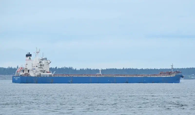 ALPHA WISDOM Bulk Carrier IMO 9593440 photo 10