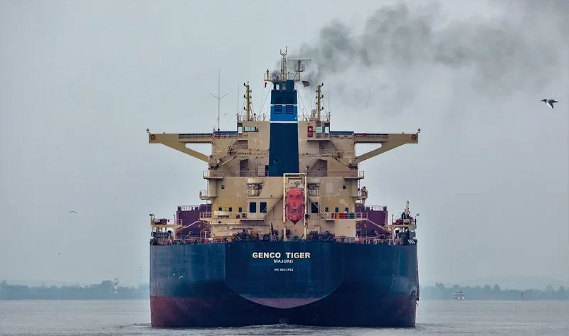 GENCO TIGER Bulk Carrier IMO 9593452 photo 4