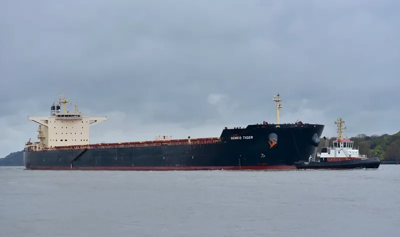 GENCO TIGER Bulk Carrier IMO 9593452 photo 5