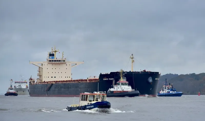 GENCO TIGER Bulk Carrier IMO 9593452 photo 6