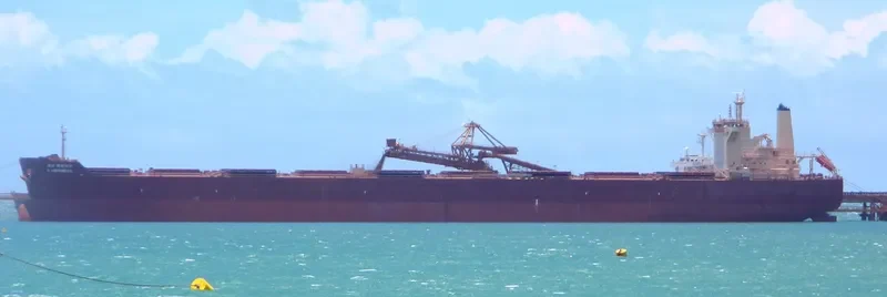 GENCO TIGER Bulk Carrier IMO 9593452 photo 10